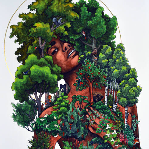 Color drawing of a woman covered in deciduous trees.